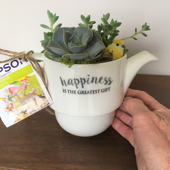 Teapot Planter! - Picture 1 of 2
